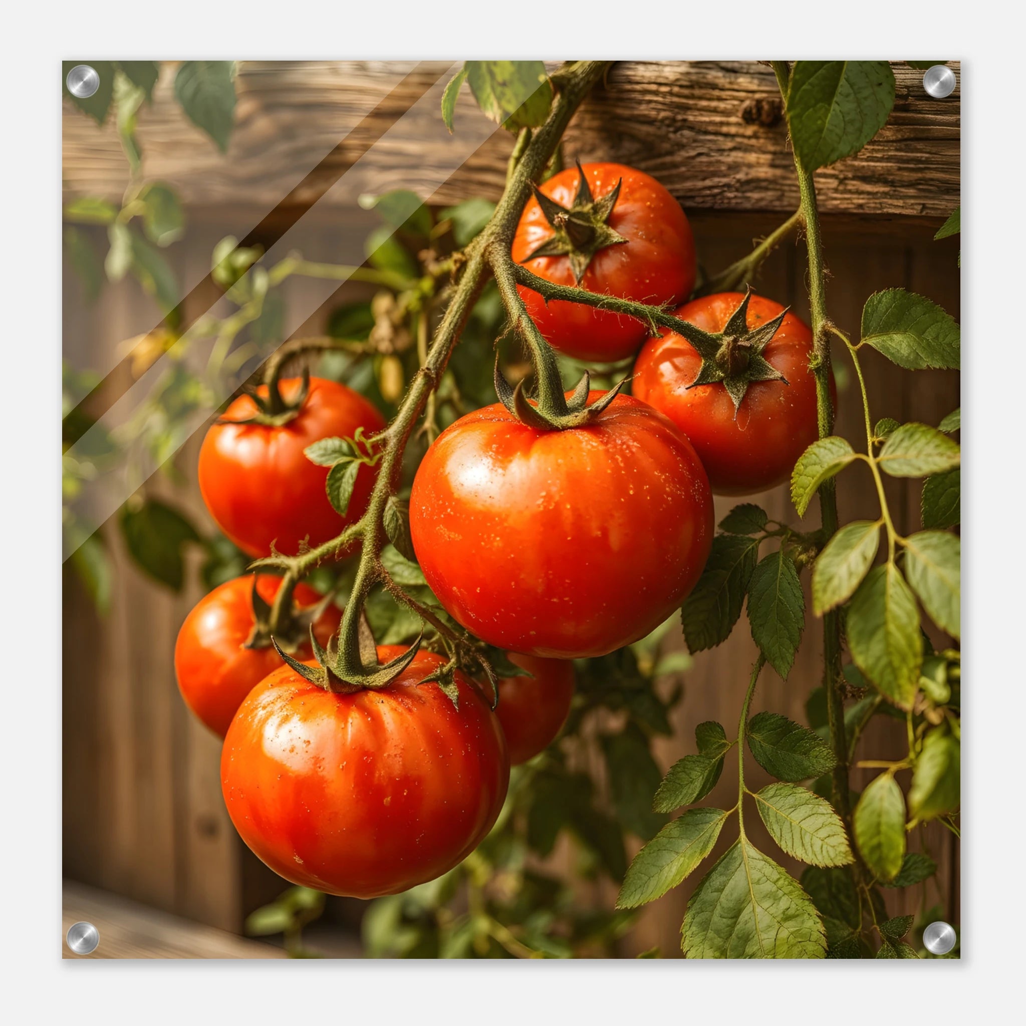 7e539bf5-e06f-4e5c-8ea0-216958e485c8