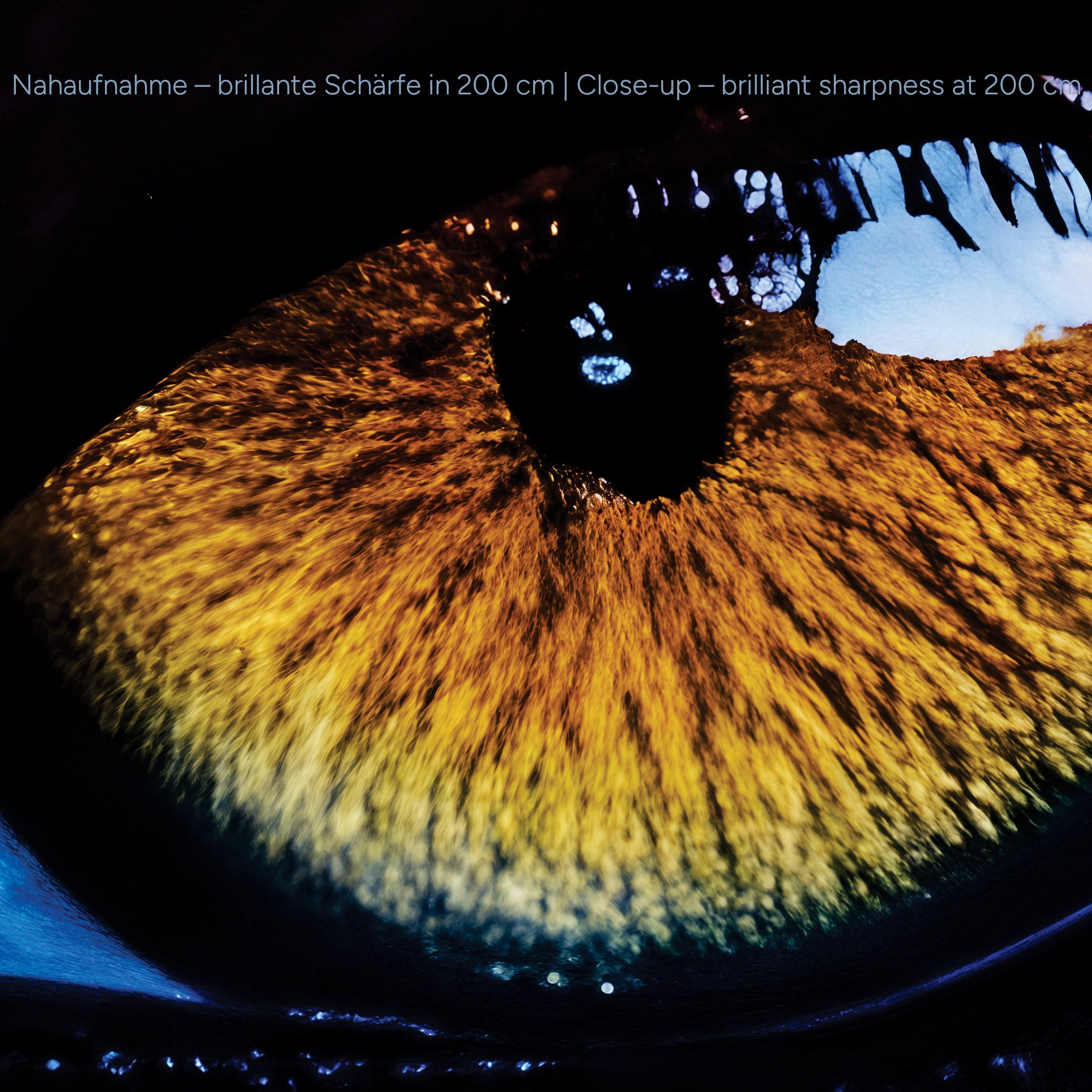 Tableau mural en acrylique représentant un grand félin mystique – Œil de panthère bleu violet – Portrait animalier puissant pour le salon